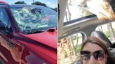 Giraffe Falls on Family’s Car and Smashes Windshield in 'Freak Accident' at Texas Wildlife Center