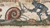 El enigma de los caracoles guerreros en los manuscritos medievales