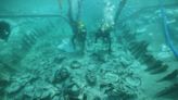 Una cápsula del tiempo de la época romana enterrada bajo la playa más turística de Palma