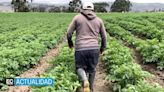 Esto exigían a cambio los secuestradores para liberar a un agricultor, en La Maná