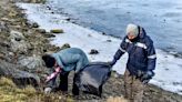 En Ushuaia se realizó la jornada de limpieza costera - Diario El Sureño