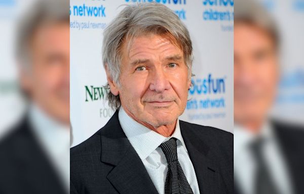 Harrison Ford Was Once A Real-Life Hero When He Rescued A Boy Scout Who Was Lost In The Freezing...