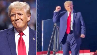 'Agonizing to Watch': Donald Trump Bashed for His 'Ridiculous' Dance Moves at Pennsylvania Rally