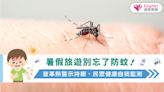 暑假旅遊別忘了防蚊！登革熱警示持續，民眾健康自我監測
