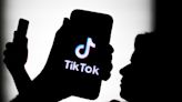 Here's a full list of the US states that have introduced full or partial TikTok bans on government devices over mounting security concerns