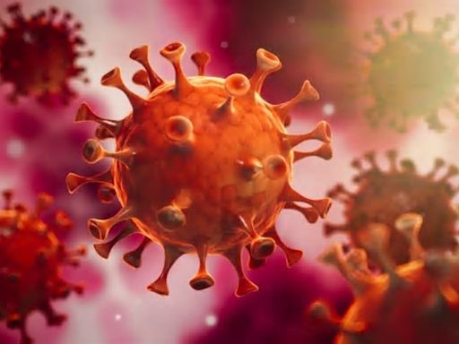 Corona-Zahlen in Emden aktuell: Die Coronavirus-Daten im Überblick