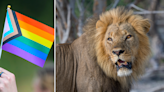 NBC marks Pride Month with documentary on 'queer' animals