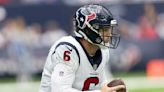 Texans coach Lovie Smith says QB Jeff Driskel ‘has given us a spark’