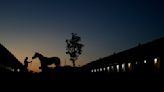 2 horses fall and unseat their jockeys in 2nd race at Churchill Downs