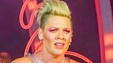 Pink's Reaction to a Fan Giving Her a Large Wheel of Cheese Is the Grate-est