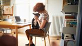 4 Things Pet Insurance Won't Cover