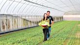 農三代創新翻土，打造共生、共榮、共好價值鏈 桃城蒔菜農業生產合作社