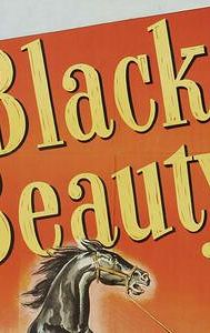 Black Beauty (1946 film)