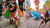 El perrito 'Mazapán' está de vuelta, así participa en las fiestas de la Guelaguetza en Oaxaca