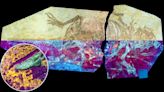 UV Light Reveals Ancient Secrets of Dinosaur Feather Evolution