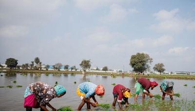 Indian farmers rush to plant summer crops as monsoon revives