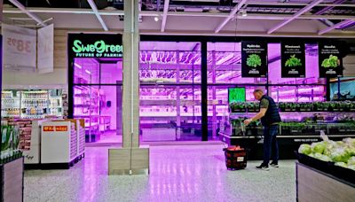 Meet SweGreen: This Swedish vertical farm start-up grows vegetables inside of supermarkets