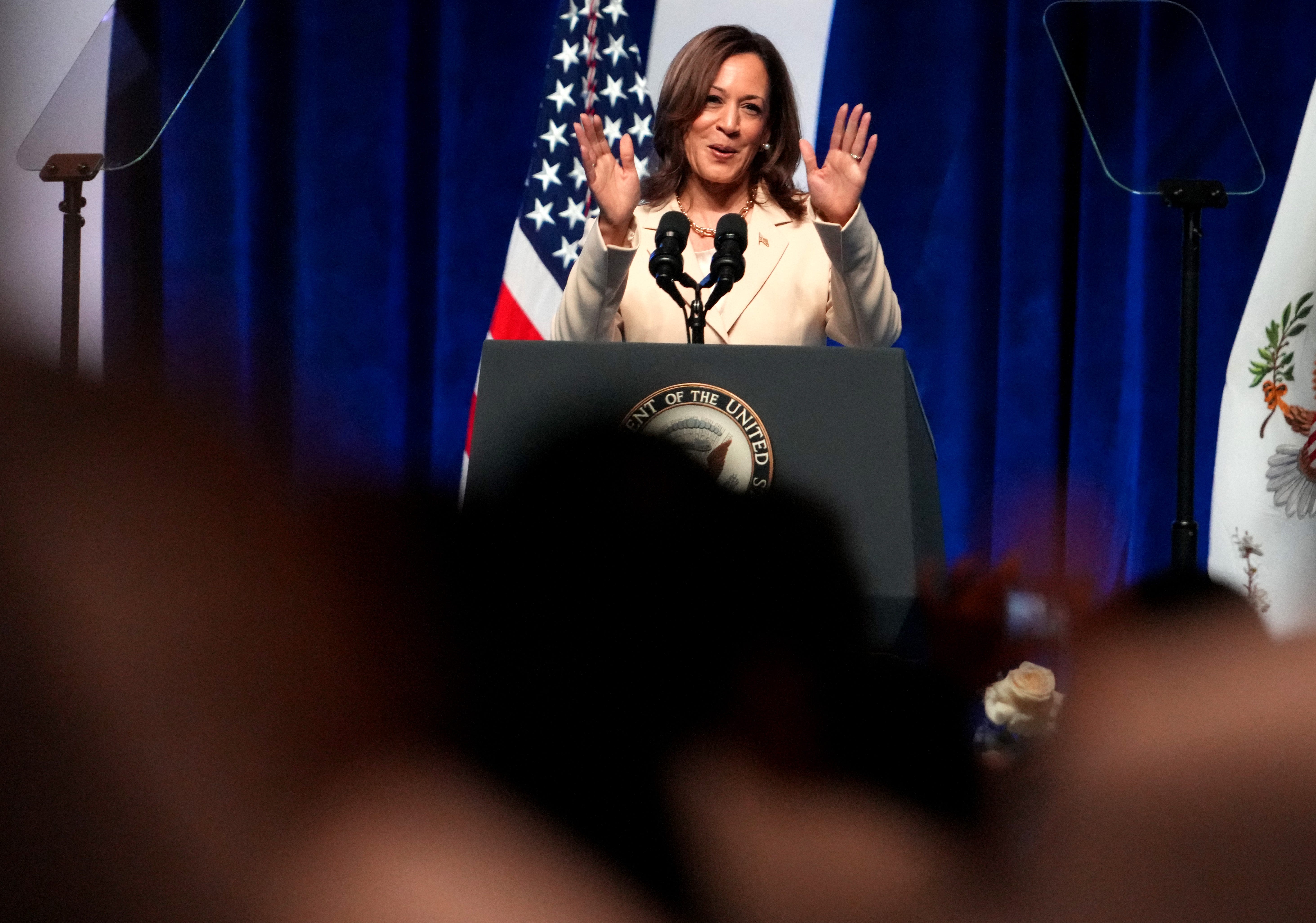 Presidential candidate Kamala Harris calls out Project 2025, rallies Black women in Indy