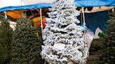 Todo para tu arbolito y decoraciones: los mejores mercados navideños en CDMX