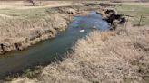 Farm field drainage failure leads to creek contamination, dead fish