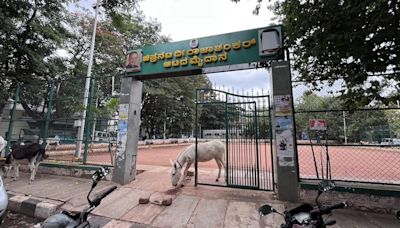 Niranjan’s life could have been saved had the playground gate been repaired properly and on time, say residents