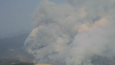 Wildfire near Tiller and Drew prompts Level 3 (Go Now!) evacuation notices