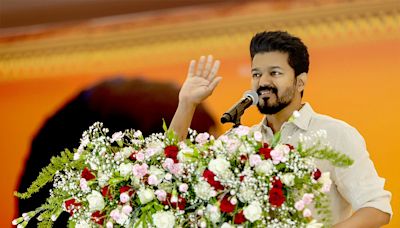 Is Vijay The Highest Paid Actor In India?