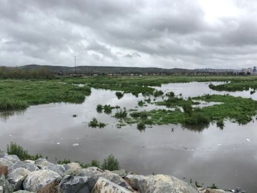 CDC agrees to investigate health impacts of border sewage