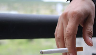 Diputada del PAN propone establecer que los filtros de los cigarros sean biodegradables | El Universal