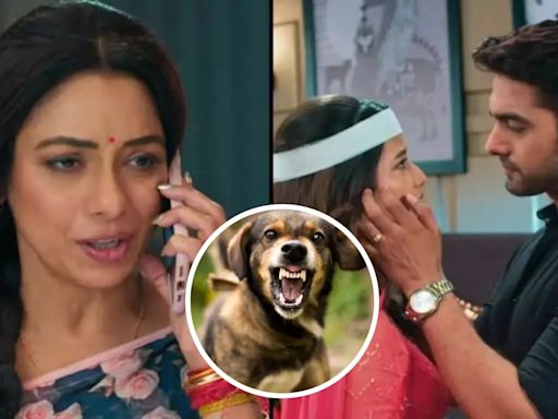 Dog Bites Yeh Rishta Kya Kehlata Hai Director On Rupali Ganguly’s Anupamaa Set - Exclusive