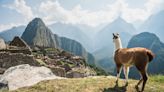 Machu Picchu Reopens! Here’s All You Need To Know Before Visiting