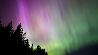 Did you miss the aurora borealis last week? Experts say there will be more opportunities