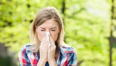 Six natural ways to deal with hay fever symptoms - you may already have these items in your kitchen