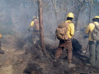 Actualización sobre Incendio Forestal en Parque Nacional