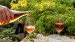 Orange wine sales are spiking — here’s why it’s on summer menus everywhere