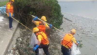 北市5年18億打造淡水河水岸空間環境 遭疑不管水質害魚群暴斃