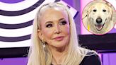 RHOC’s Shannon Beador Says Dog Archie ‘Will Be OK’ After Being Attacked and Bitten by Another Dog