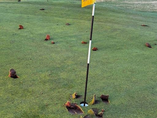 Golfers furious after 'scumbag' vandals trash Prestwick course