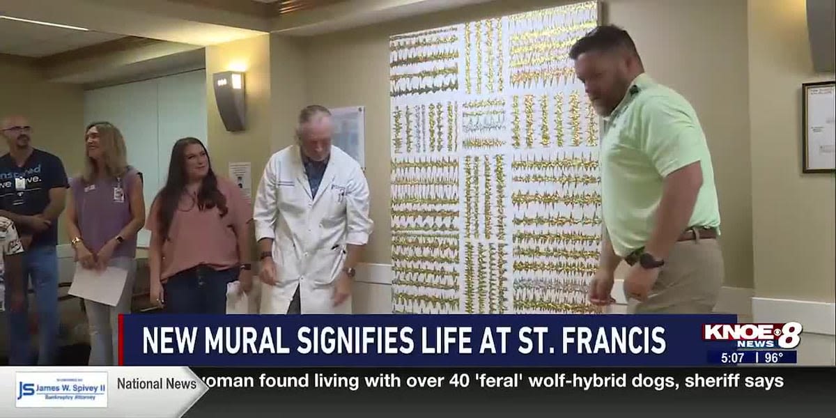 Heartbeat mural unveiled at St. Francis