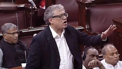 Only 2 of 24 parliamentary panels headed by women: Derek O'Brien