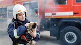 Firefighters Rescue Over 100 Dogs After Doggie Day Care Catches Fire