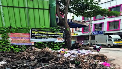 Wooden logs not cleared by BBMP amidst heavy rains