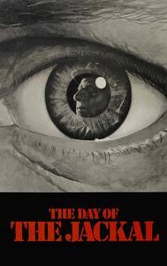 The Day of the Jackal (film)