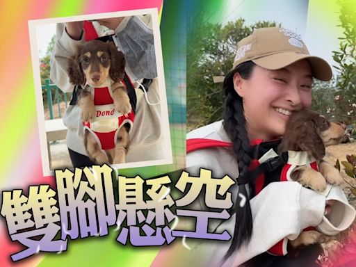 陳瀅帶新寵行山 孭帶一個致命原因隨時令愛犬癱瘓