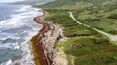 Record amount of seaweed chokes Caribbean beaches and shoreline