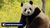 Panda diplomacy, Taiwan’s ‘US whisperer’: 7 reads about US-China relations