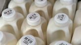 There’s bird flu in US dairy cows. Raw milk drinkers aren’t deterred