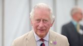 Prince Charles accepted $1.2 million from Osama bin Laden's family, report claims