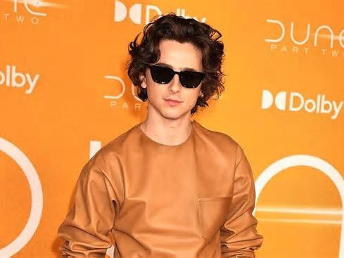 Spettacolo Timothée Chalamet firma un contratto pluriennale con Warner Bros