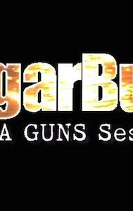SugarBush: TheLA Guns Sessions